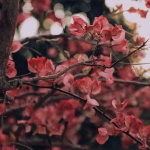 دانلود آهنگ ۱۲۳ همه بیخیال غصه